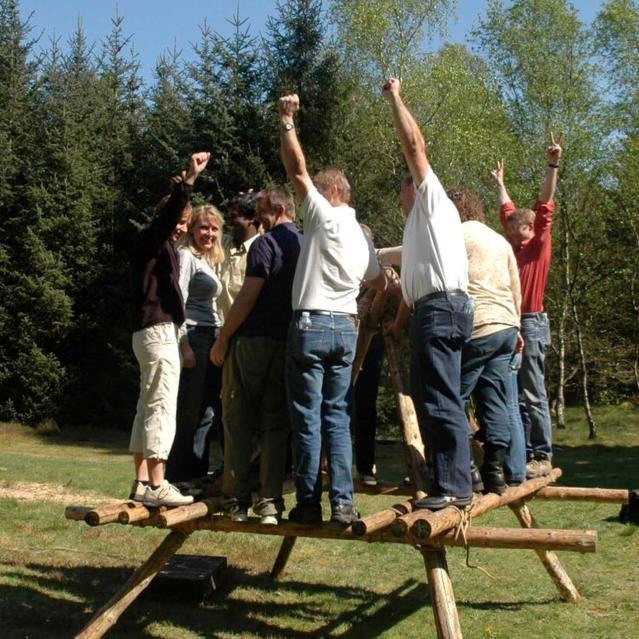 Team building for groups and companies